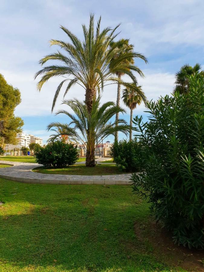 Apartament Margaret Torrevieja Exterior foto
